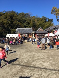 IMG_0378 IMG_0378