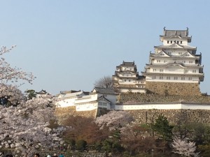 IMG_4067 IMG_4067
